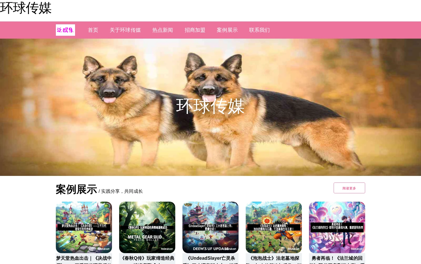河南省洛阳市环球传媒软件科技有限公司 页面快照
